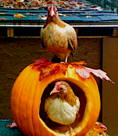 2WheatensPumpkin-1.png