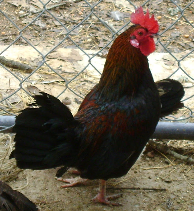 DSC01582.JPG