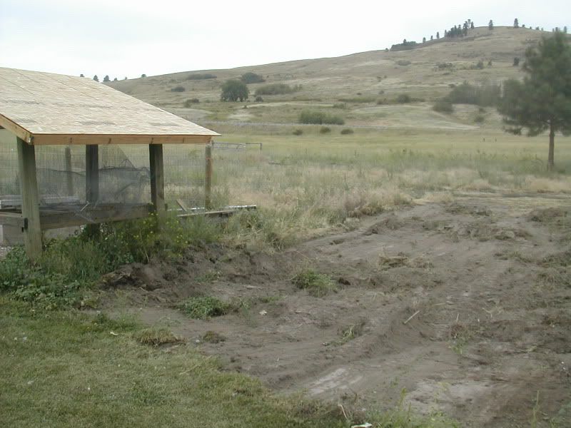 DSCN4724.jpg