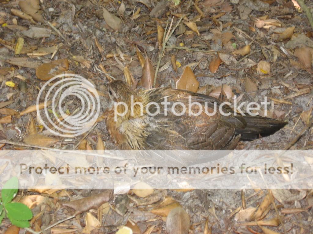IMG_5414.jpg