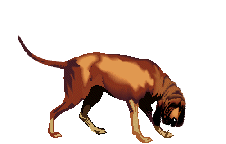 hounddog_e0.gif