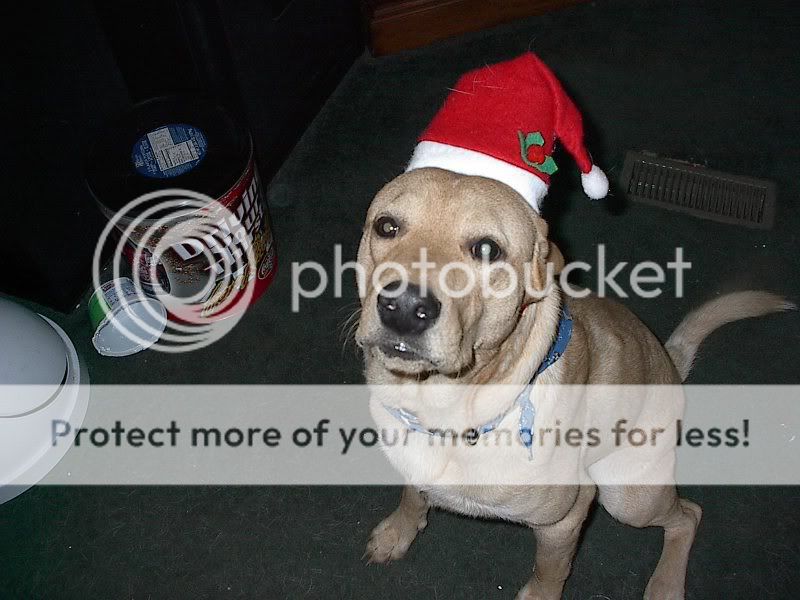 oscarhoho3.jpg
