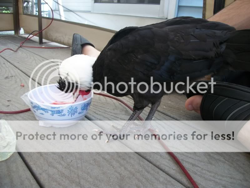 100_3261.jpg