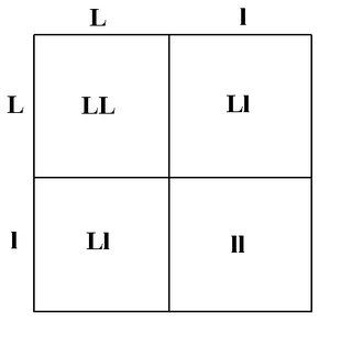 lavf2split.jpg
