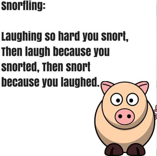 Funny-Quotes-205.jpg