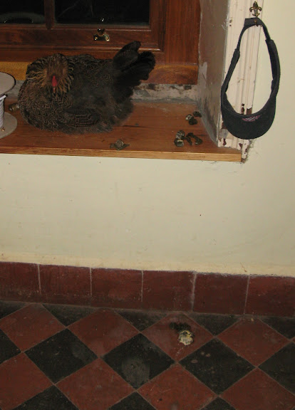 IMG_4639.jpg
