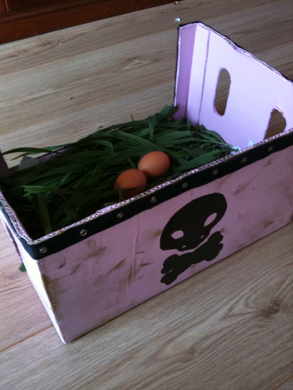 photo5.jpg