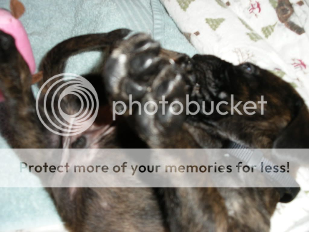 2009_01010055.jpg