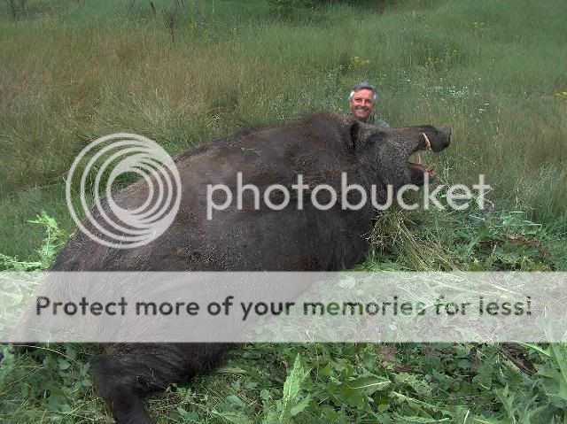 redhen.jpg