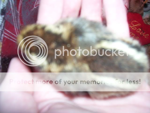 100_2497.jpg