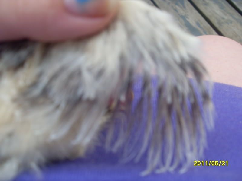 Picture160.jpg
