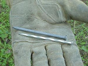 common_and_spiral_nail.jpg