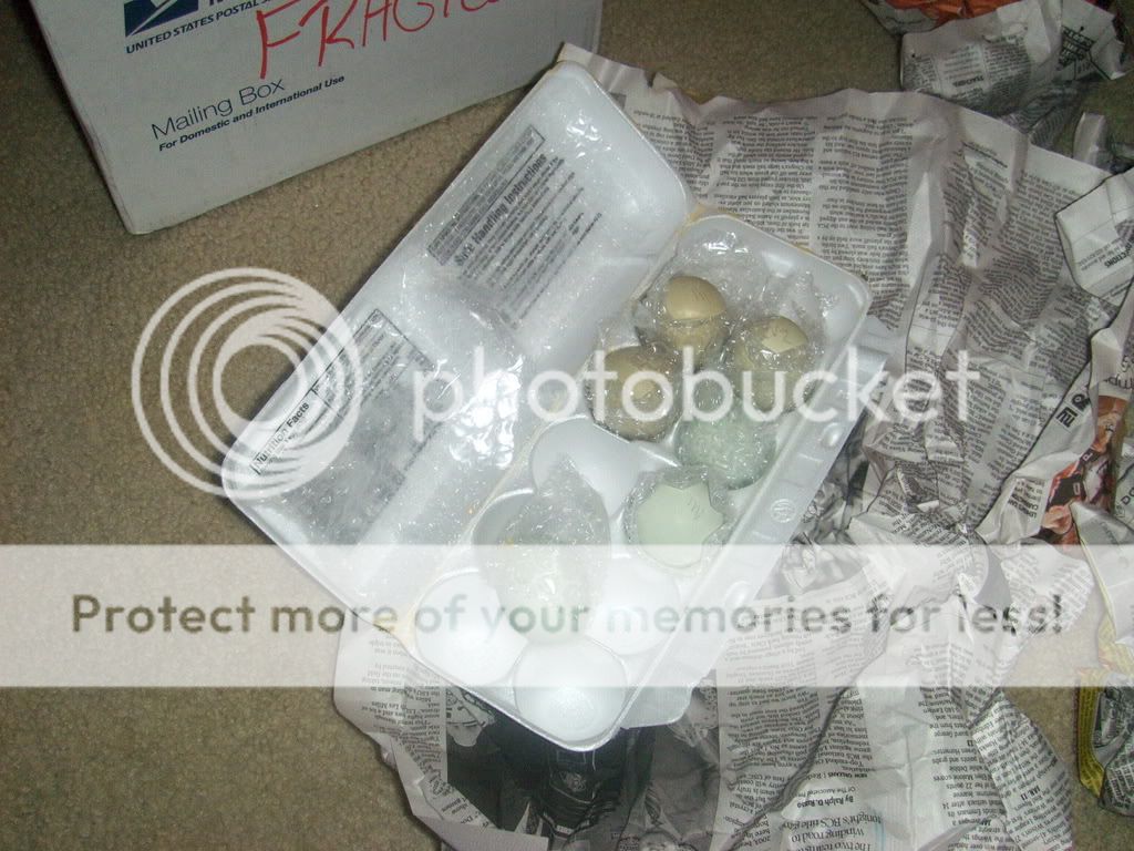 Ruinedeggs004.jpg