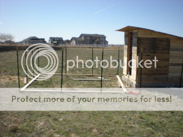DSCN0866.jpg