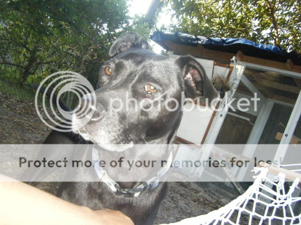 DSCF5378.jpg