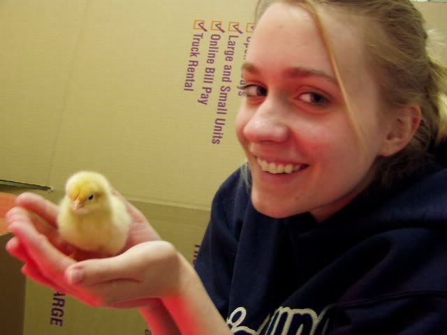 chickens019.jpg