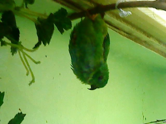 DSC08399.jpg
