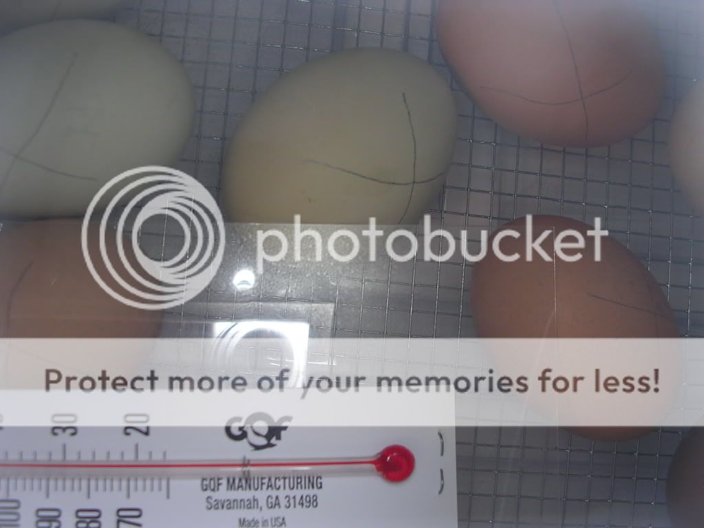 DSCN2926.jpg