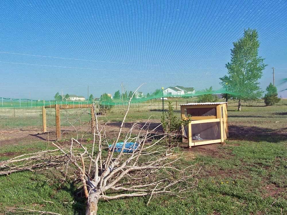 aviary.jpg