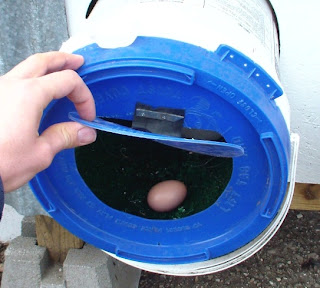 Nest+Box+03.jpg