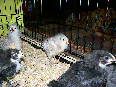 group3.jpg