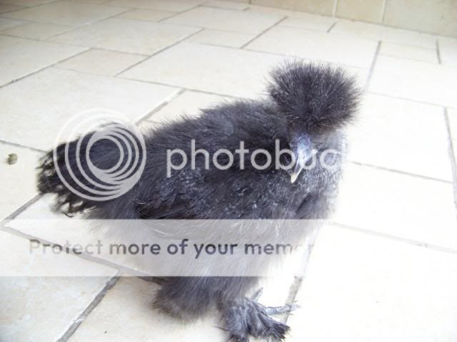 100_2827.jpg