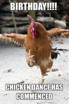 39 best chicken memes images on Pinterest | Chicken, Funny ...