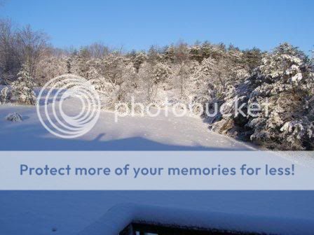 Snow2.jpg