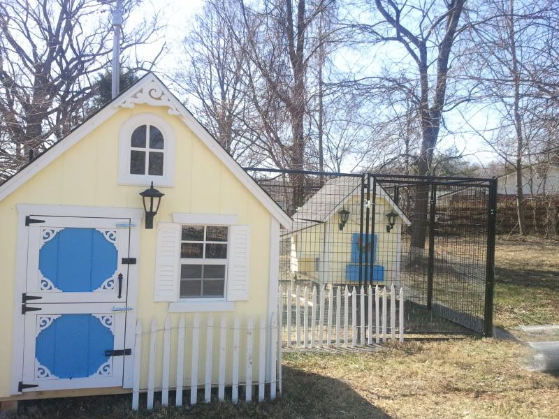 2011-03-13143946.jpg