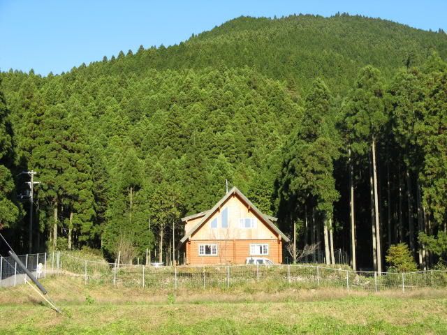 house11_2.jpg