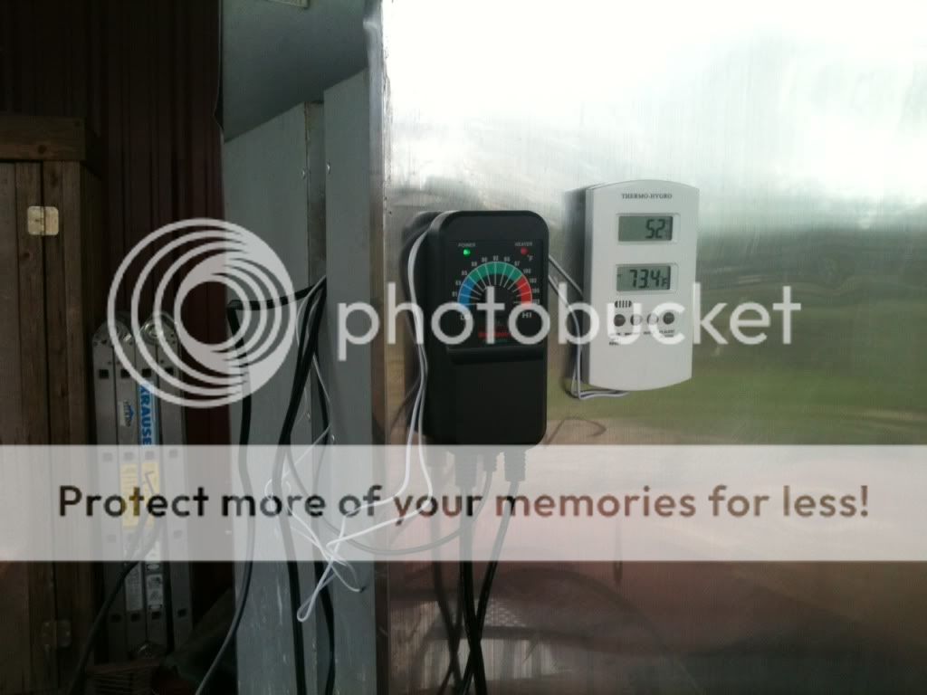 photo5.jpg