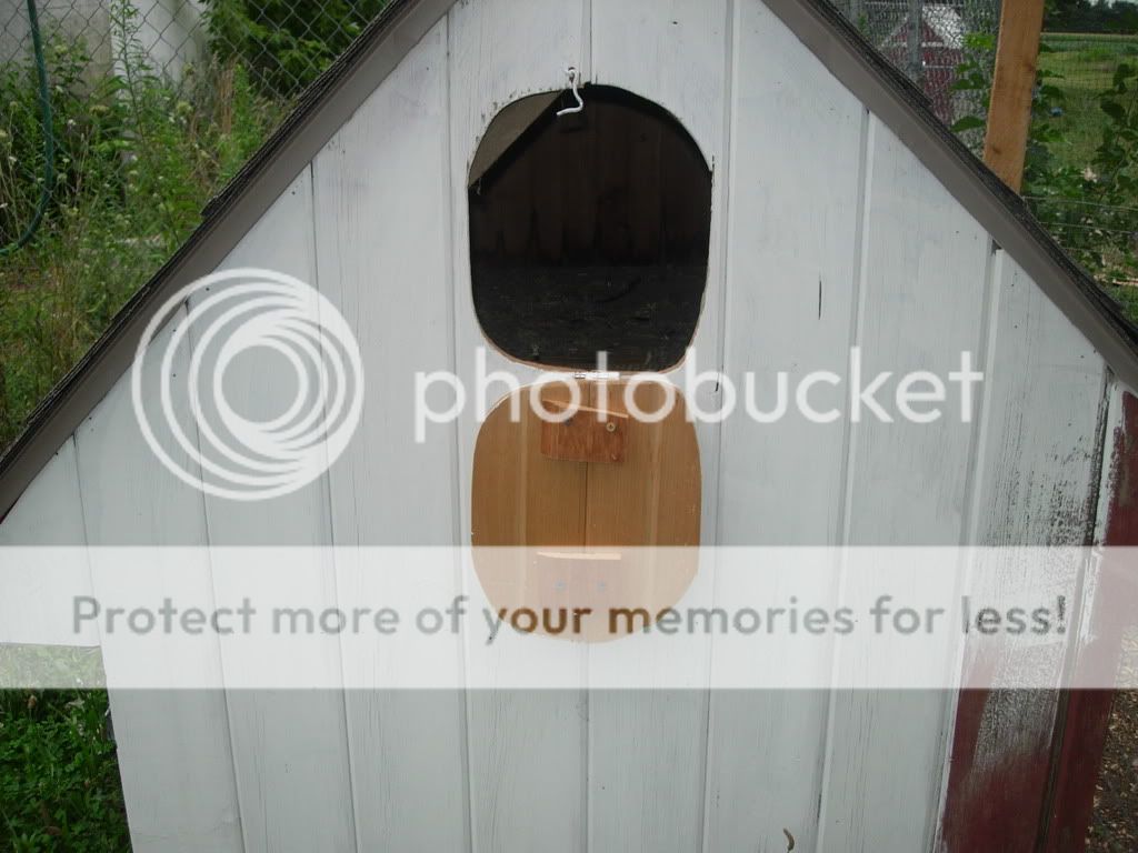DSCN2832.jpg