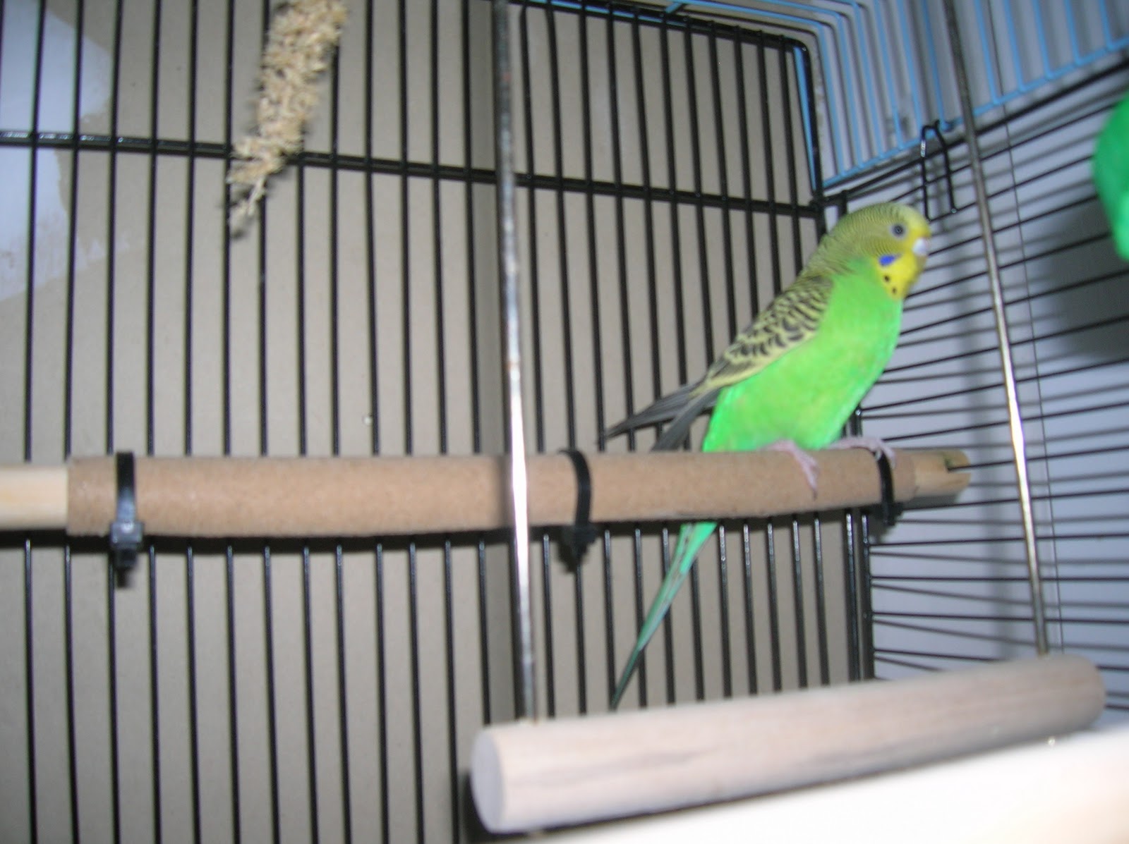 DSCN7301.JPG
