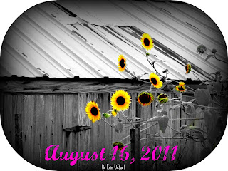sunflowers.jpg