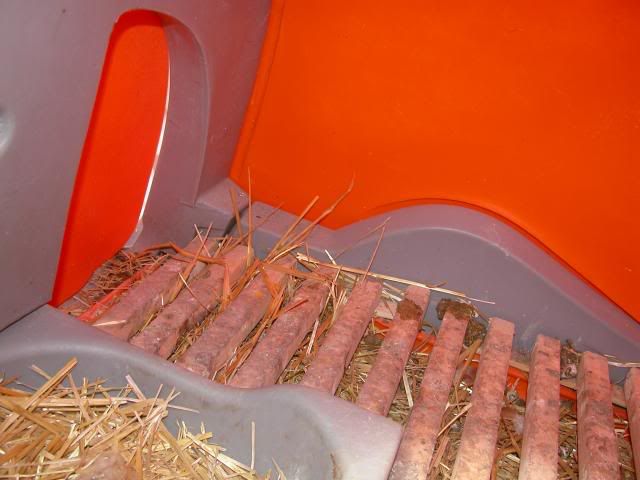 043-1.jpg