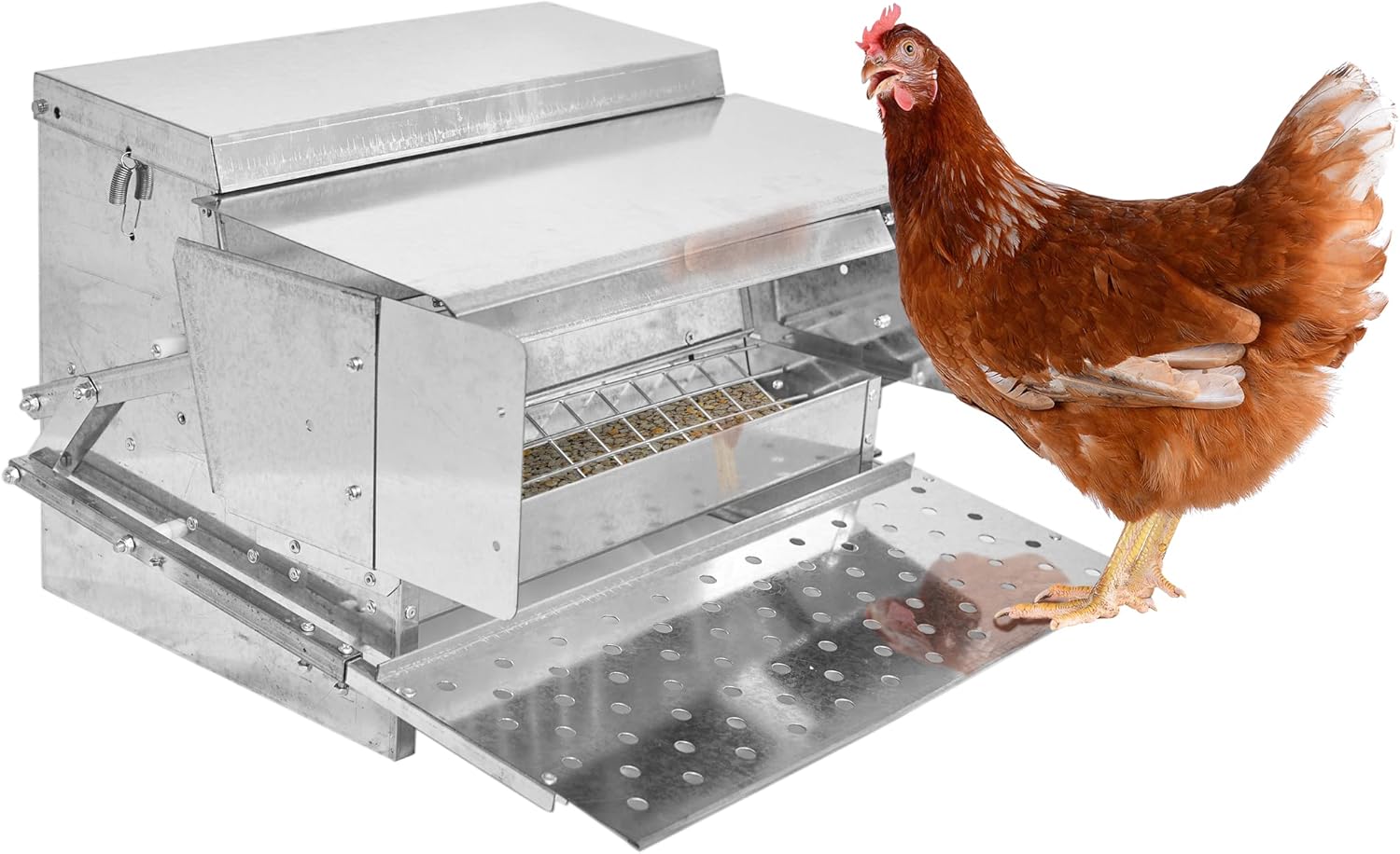 Amazon.com : RentACoop Automatic Chicken 25lb Treadle Feeder, Pest, Rat,  and Weatherproof Feeding System for Poultry, Pheasants, Ducks, and Fowl :  Patio, Lawn & Garden