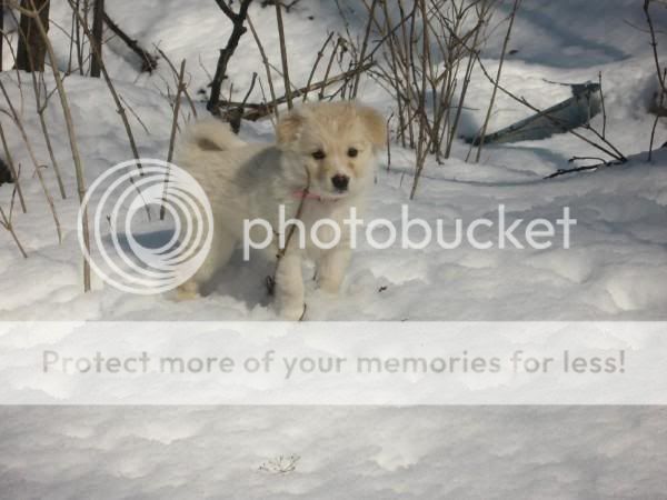 l_ae5a07ade9ca51dce8dc403f43f95067.jpg