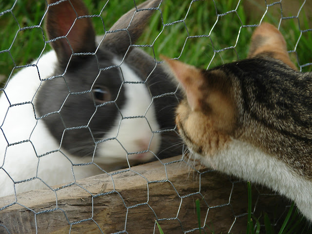 DSC09580.JPG