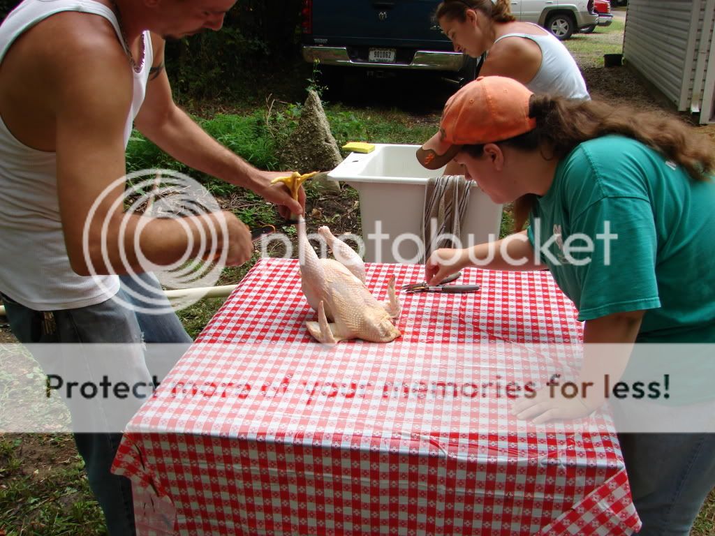 DSC06017.jpg