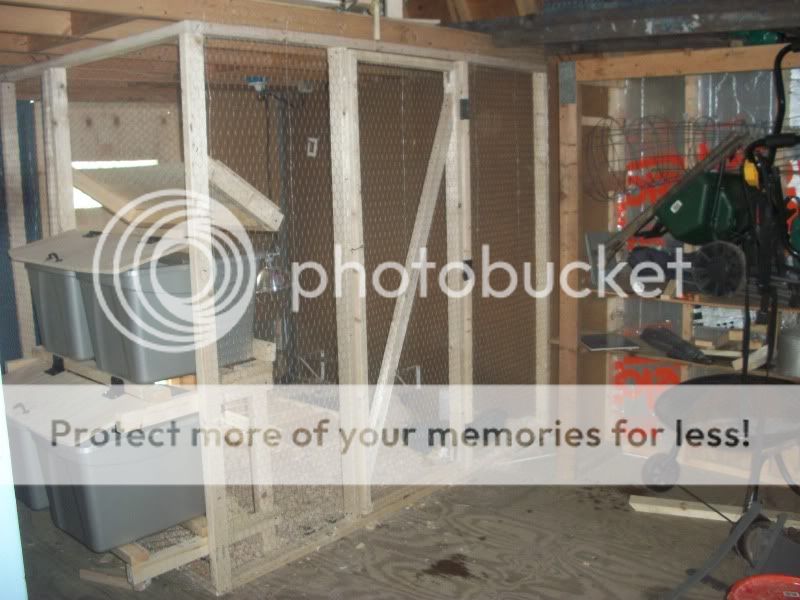 chickenshouse095.jpg