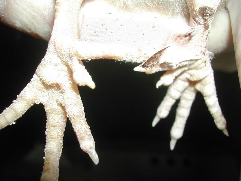 DSCN4139.jpg