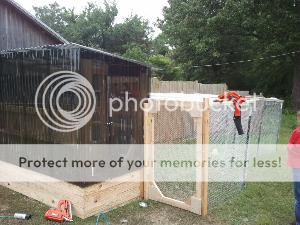 chickencoop.jpg