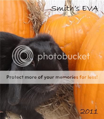 SmithsEVA2011.jpg