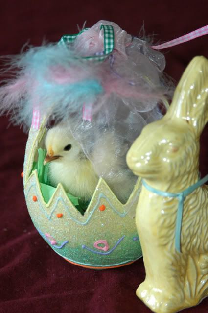 Easterchick.jpg