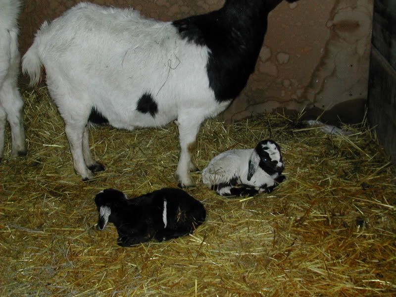 DSCN5127.jpg