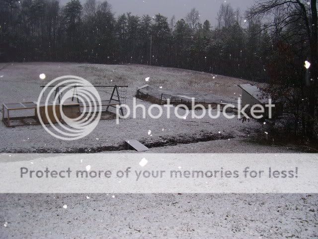snow08026.jpg