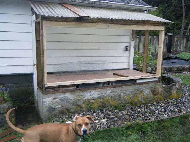 The great greenhouse to chicken coop project BackYard 