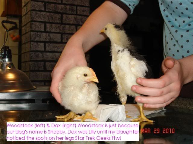 DSC03412Small.jpg