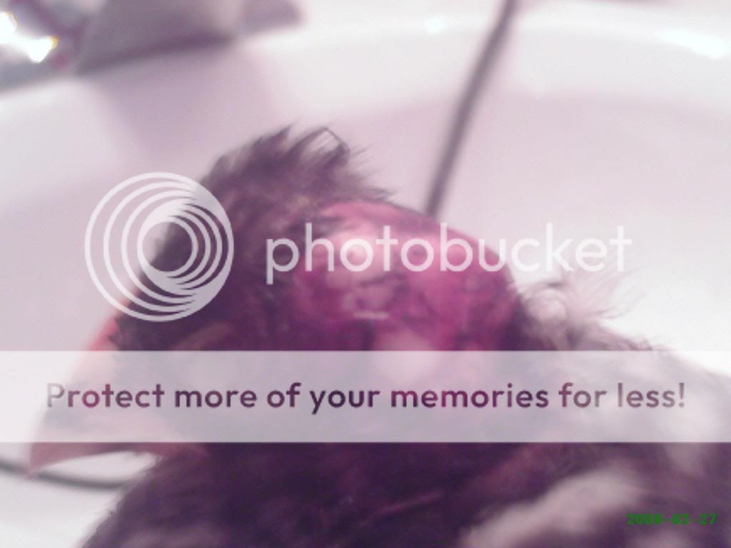 PHTO0113.jpg