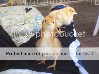 FitzAndBuck.jpg